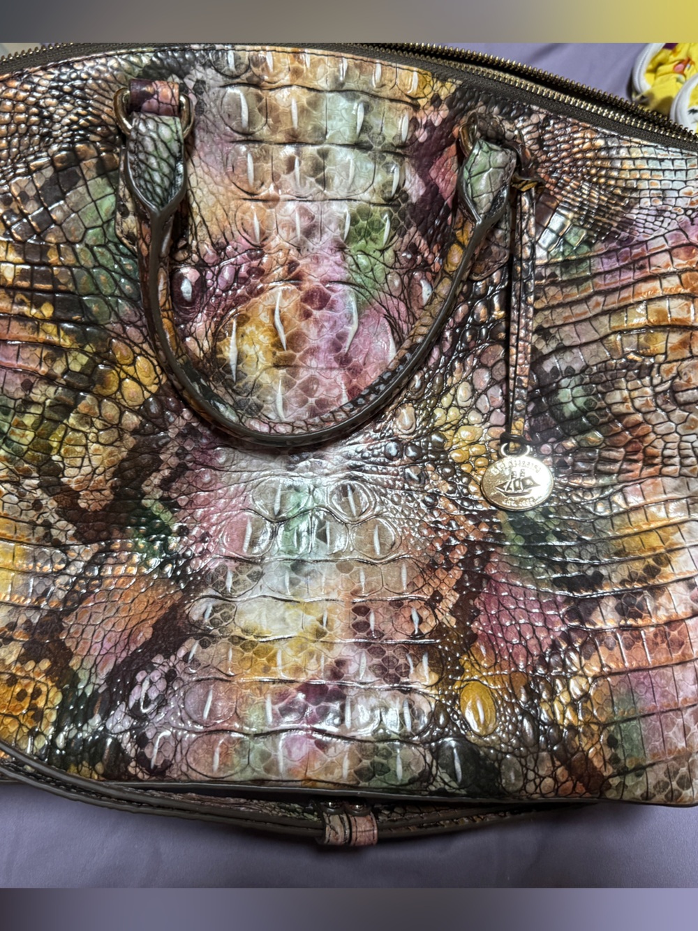 Brahmin Multicolor Croc-Embossed Leather Satchel and Wallet